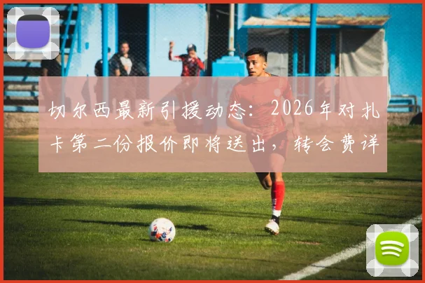 切尔西最新引援动态:2026年对扎卡第二份报价即将送出,转会费详情与谈判进展深度分析